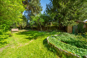 REAR GARDEN- click for photo gallery
